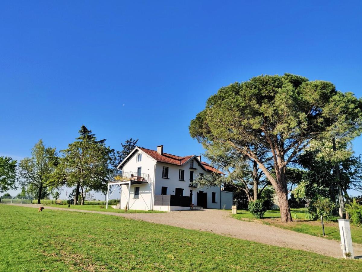 Le Cottage Duo Vigne Rouge Sauna Gaillac Entre Albi-Toulouse & Les Cottages Du Tarn Brens  Exterior foto